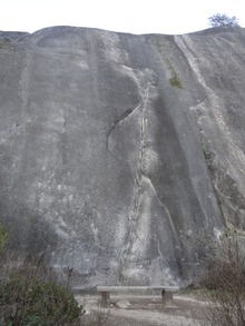 Side